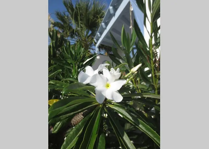 Riviera Paradise : Unique Vacations Experience * Алико-Бич