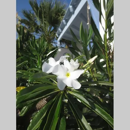 Riviera Paradise : Unique Vacations Experience * Aliko Beach